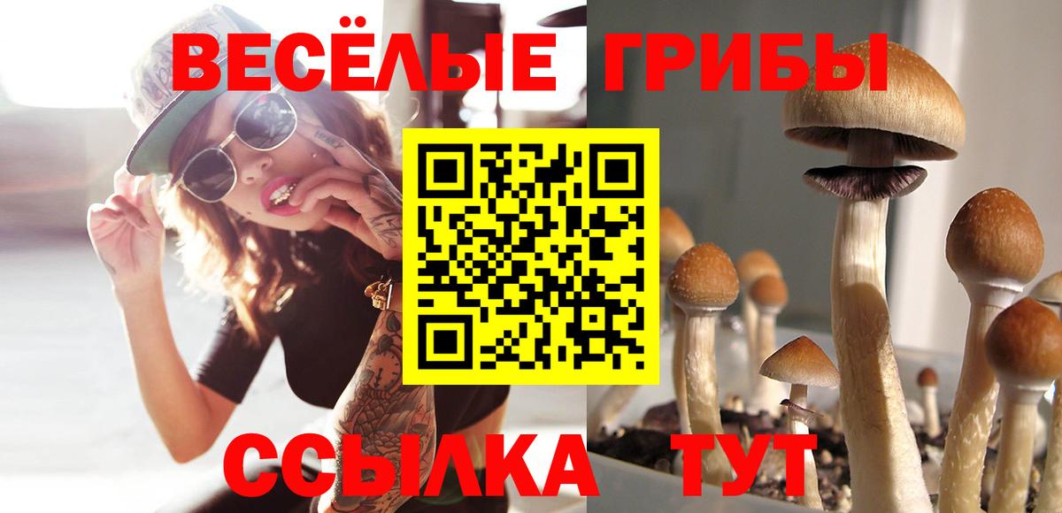 Галлюциногенные грибы Psilocybe  Вход с VPN  Гусев  Галлюциногенные грибы Cubensis 